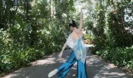 爆料陈露跳舞视频大全集,全网独家舞蹈视频大全集回顾